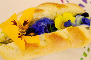 sandwich
