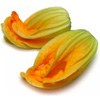 courgette